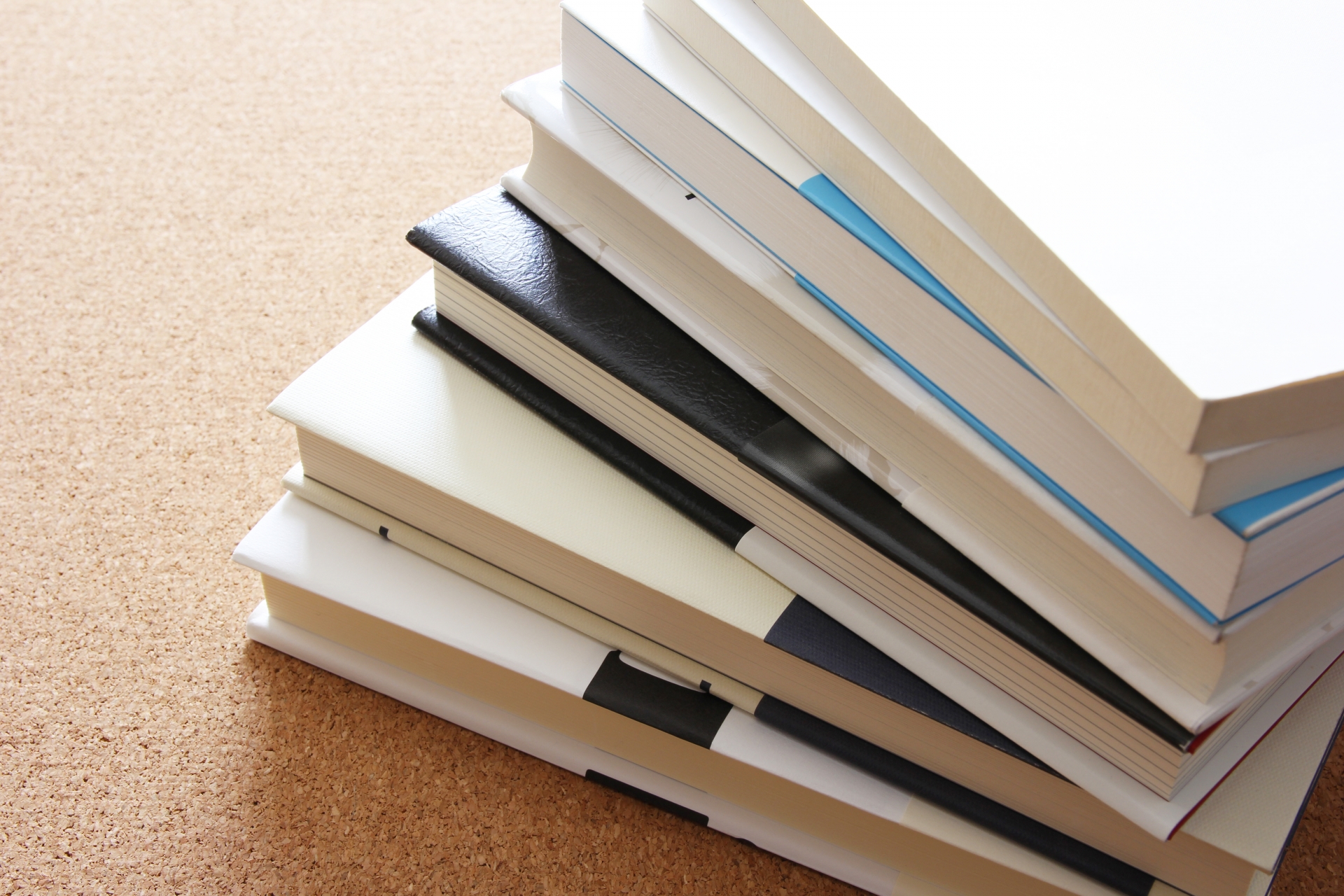 児童図書 2024年度後期版